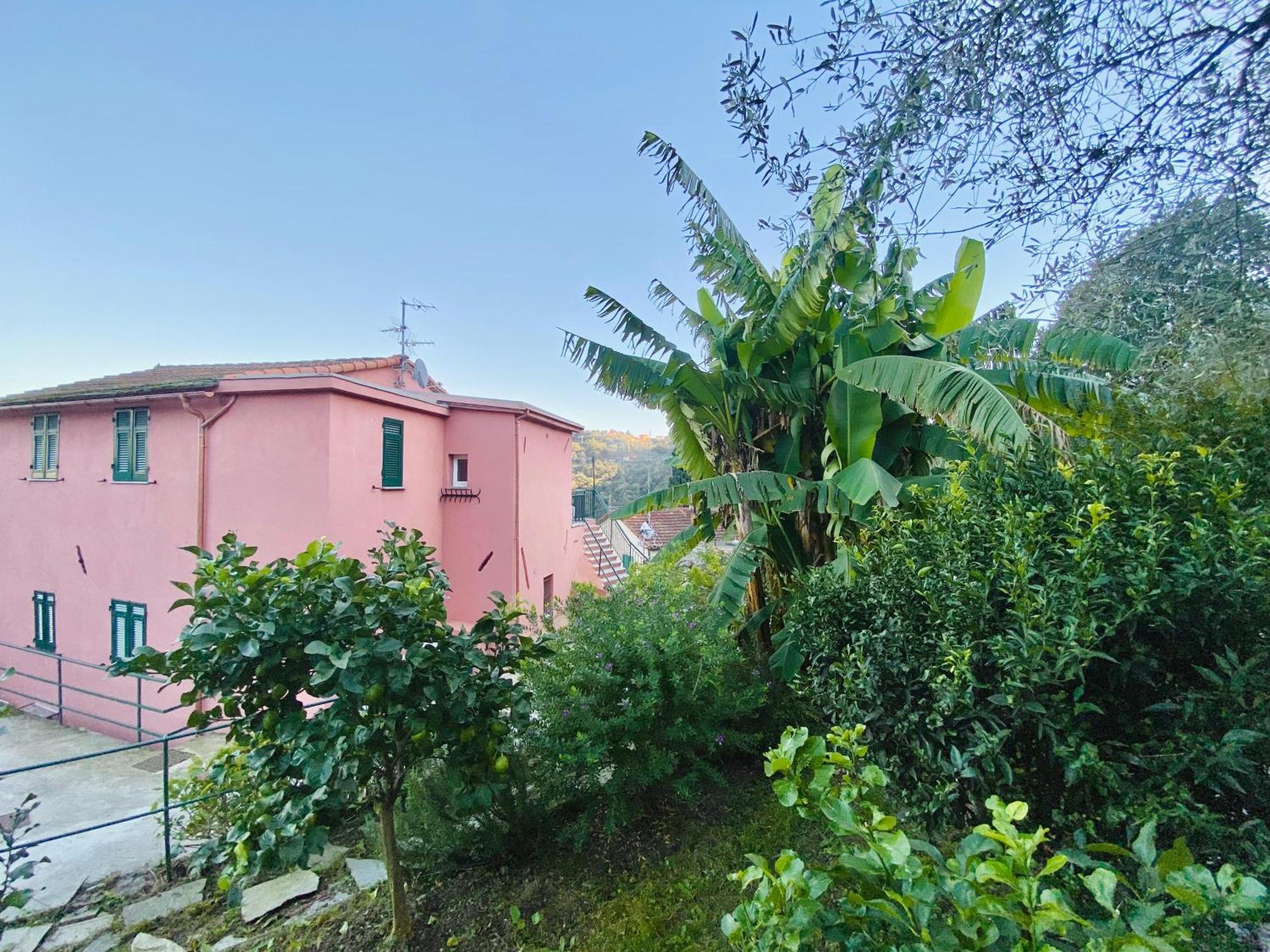 Alla Casa Rosa, Peaceful Apartment Surrounded By Greenery With Free Parking, Wifi & Air Conditioning Rapallo Esterno foto